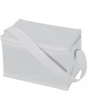 Torba termiczna na 6 puszek 330 ml ROXANNE