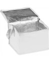 Torba termiczna non woven na 6 puszek 330 ml LUDMILA