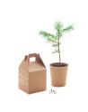GROWTREE™