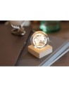 GLOBE LIGHT