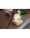 GLOBE LIGHT