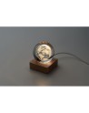 GLOBE LIGHT