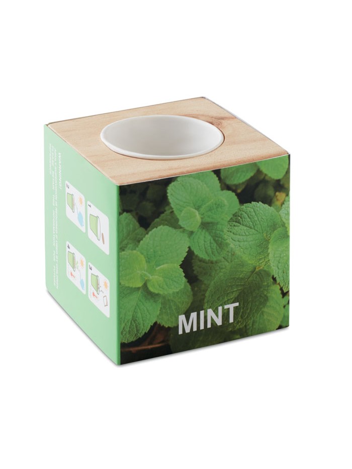 MENTA