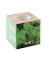MENTA
