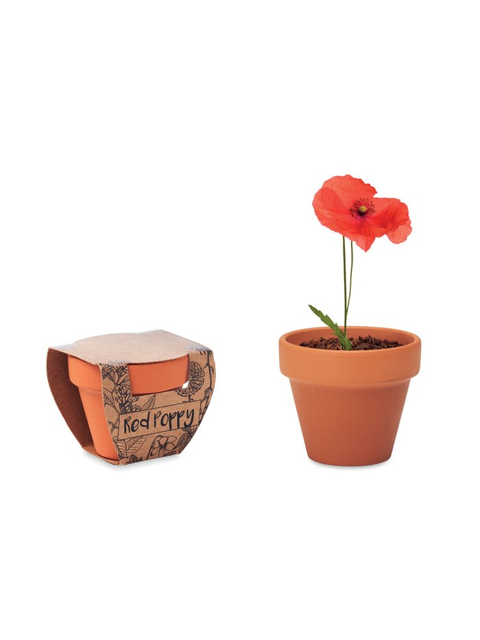 RED POPPY