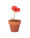 RED POPPY