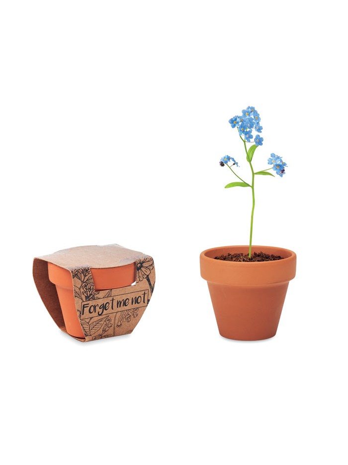 FORGET ME NOT
