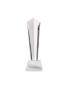 DIAWARD