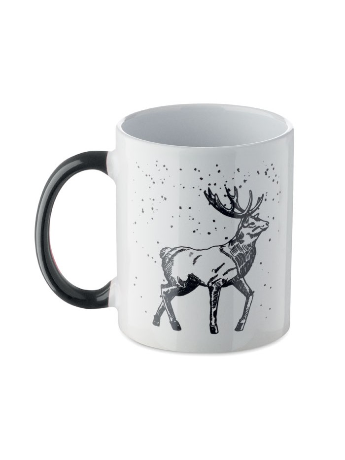 FESTIMUG 300 ml