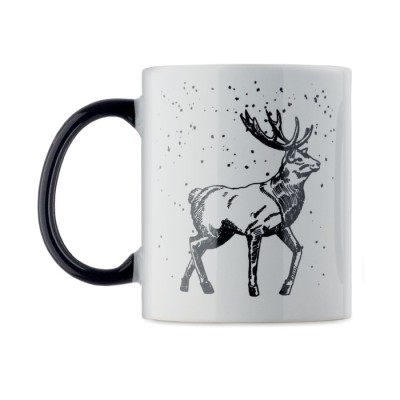 FESTIMUG 300 ml