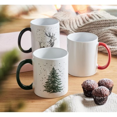 FESTIMUG 300 ml