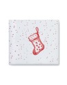 FESTIMUG 300 ml