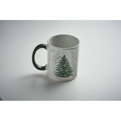 FESTIMUG 300 ml