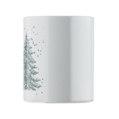 FESTIMUG 300 ml