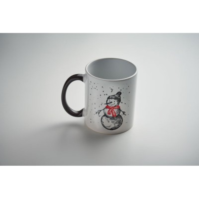 FESTIMUG 300 ml