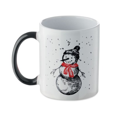 FESTIMUG 300 ml
