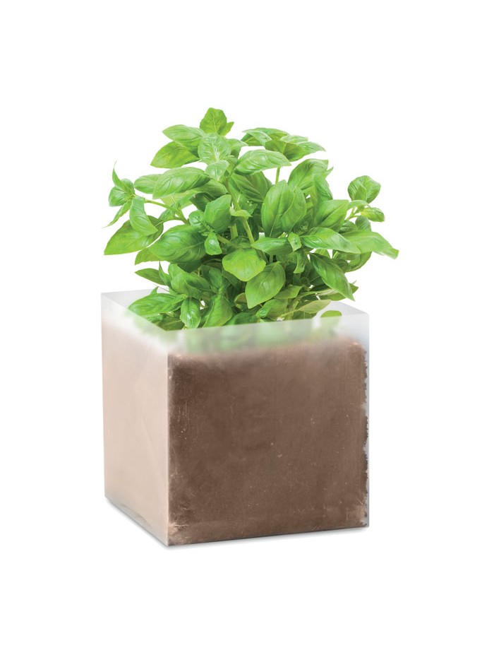 BASIL 300 ml