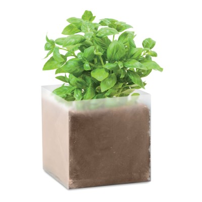 BASIL 300 ml