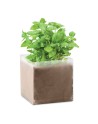 BASIL 300 ml
