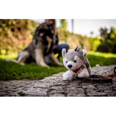 Pluszowy pies husky | Trooper