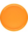 Frisbee