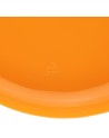 Frisbee