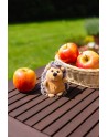 Pluszowy jeż | Spiky