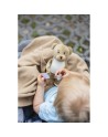 Pluszowy miś z kocem | Phil