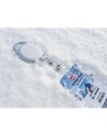 Ski pass