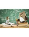 Pluszowa poduszka, sowa | Professowl