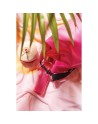 Butelka sportowa 600 ml VINGA Lean