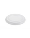 Frisbee ZING