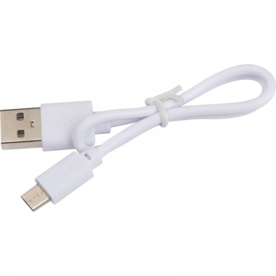 Ładowarka indukcyjna NIKOLA