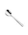 Ferrum tea spoon,