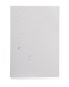 Notes MARIGOLD A5