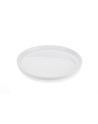 Frisbee ZING