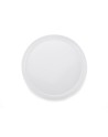 Frisbee ZING