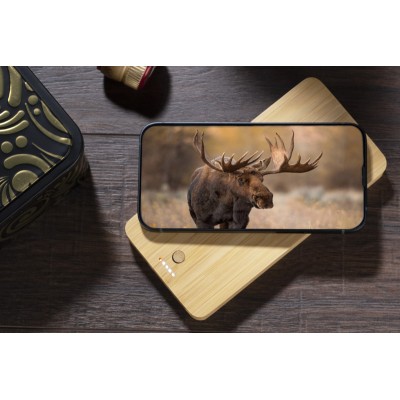 Powerbank BORRA 10000 mAh