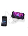 Powerbank DOUBLE 8000 mAh